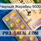 Черный Жеребец 9000 new06